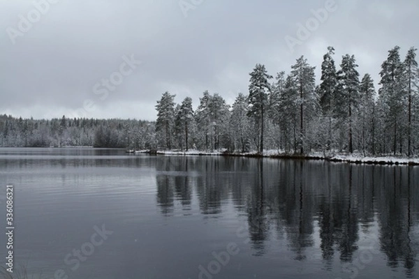 Fototapeta A small pond in the fall