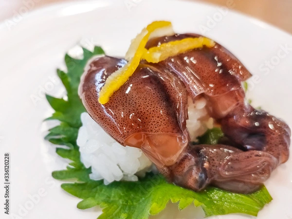 Fototapeta ホタルイカのお寿司