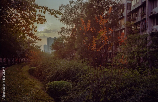 Fototapeta Urban sunset