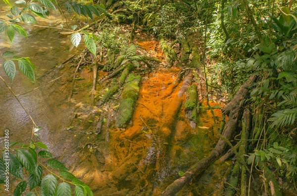 Obraz Colours at the river