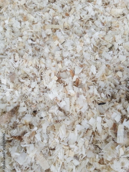 Obraz sawdust close up