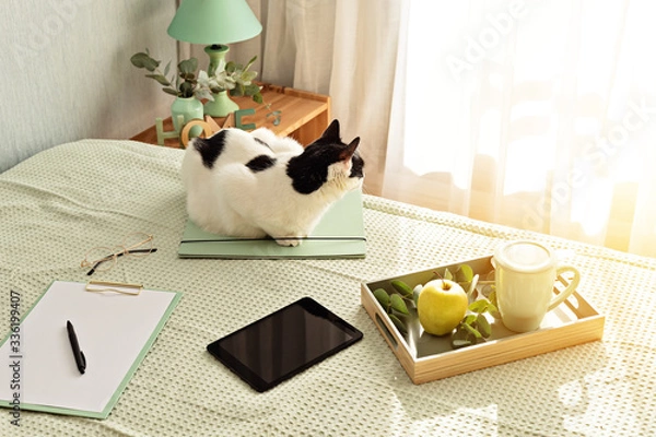 Fototapeta Top view of office supplies in the bed, informal working environment with laptop, notepad, tea cup. Remote work, home office, freelancer, self isolation idea
