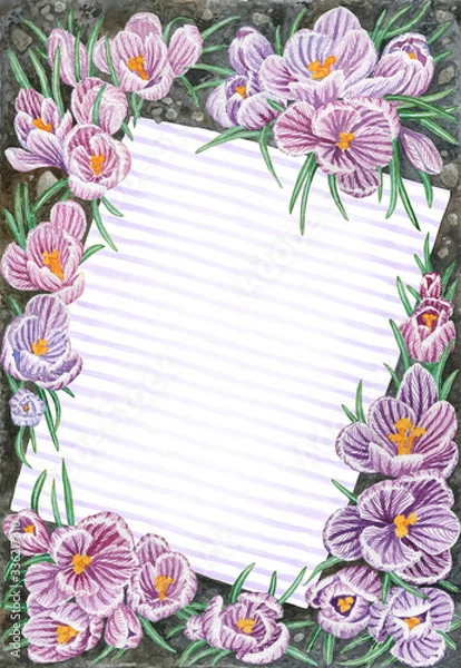 Obraz Watercolor blooming crocus background. Beautiful spring flowers frame with striped space for text