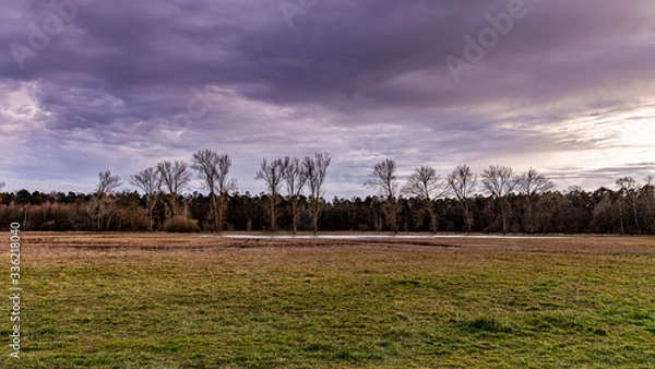 Obraz Geschwister Bäume