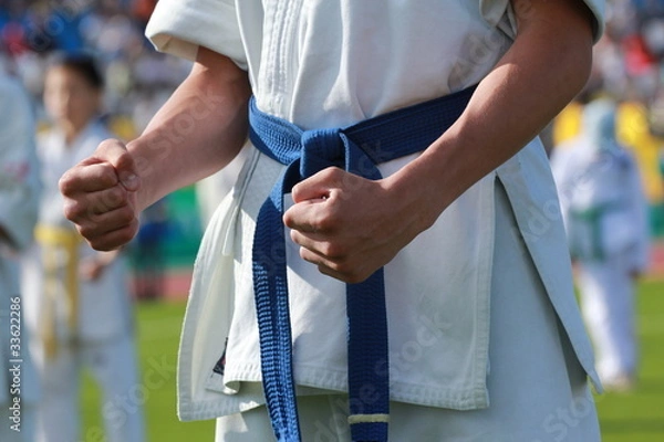 Obraz Руки каратиста