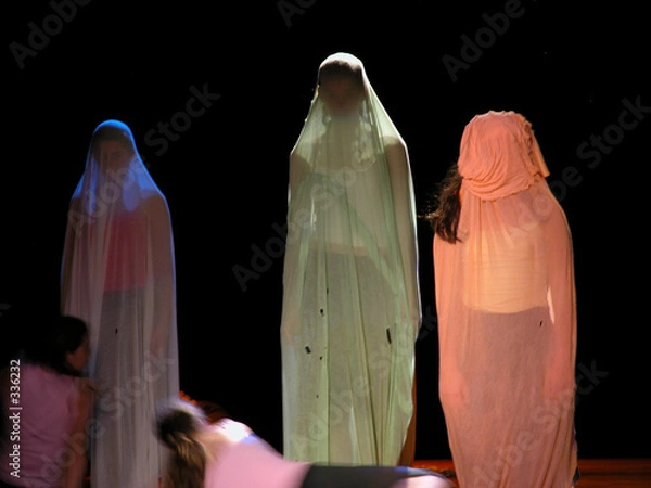 Obraz cocons humains