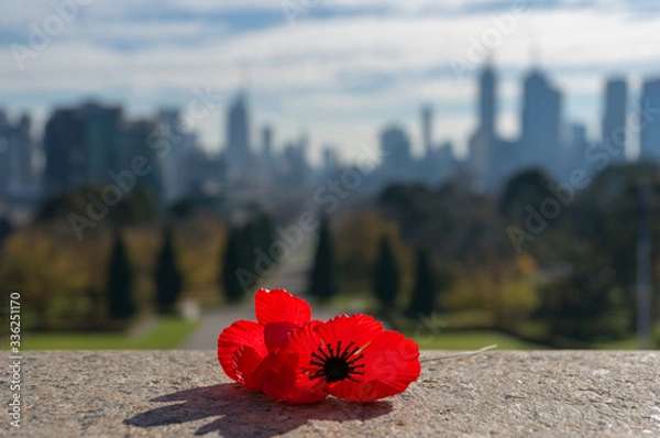 Obraz Close up of red poppy flower with urban cityscape on the background