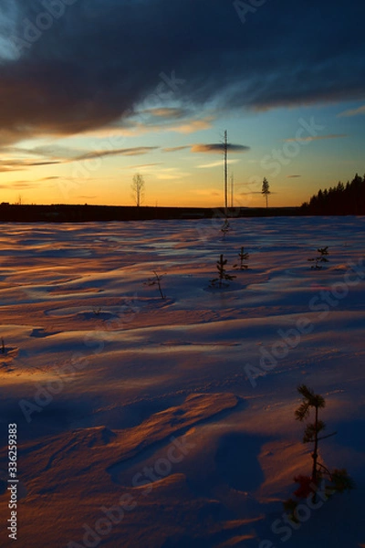 Obraz Winter sunset in Swedish Lapland, with breakable crust on the snow