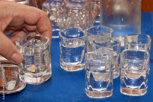 Obraz Plum brandy shots