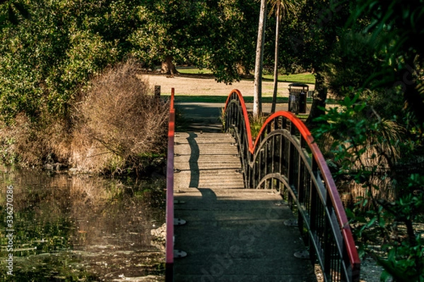 Obraz bridge in the park