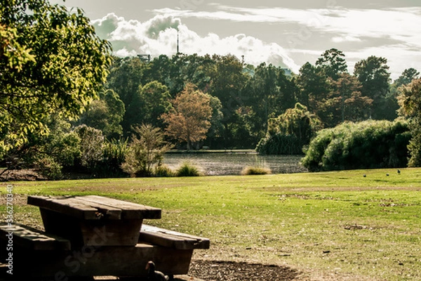 Obraz bench in the park