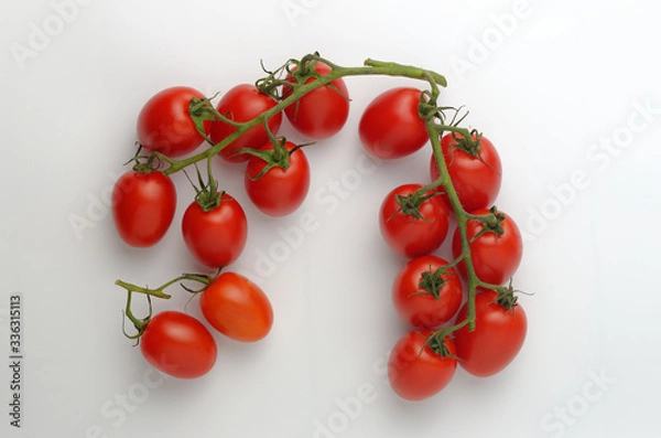 Obraz Branches with cocktail tomatoes lie on a white background. View from above.