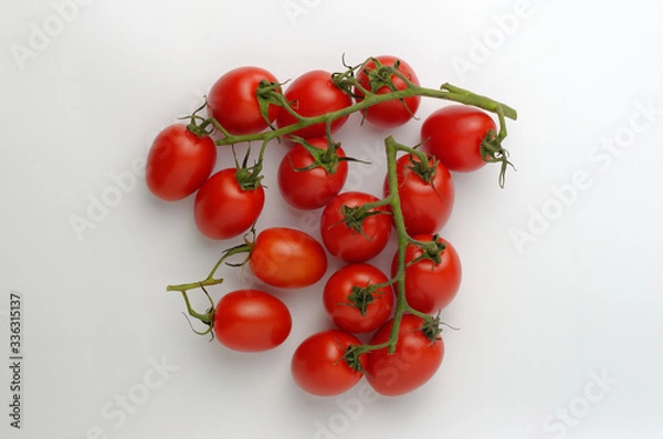 Fototapeta Branches with cocktail tomatoes lie on a white background. View from above.