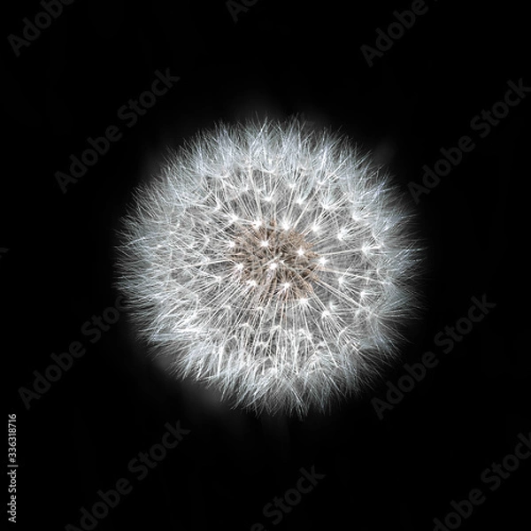 Obraz Natures Planet