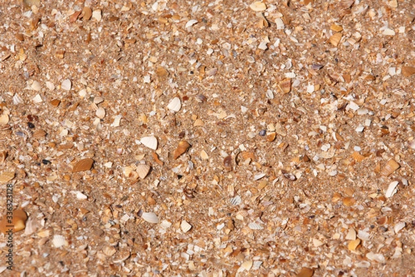 Obraz Sea sand shell rock light, texture