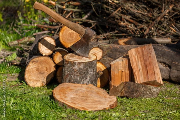 Obraz Firewood with an ax in a clearing with green grass