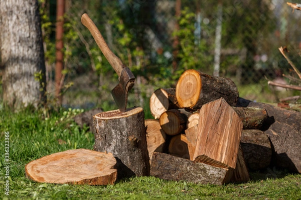 Obraz Firewood with an ax in a clearing with green grass