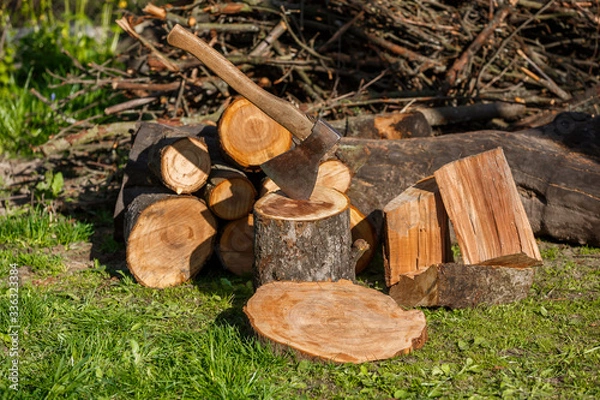 Fototapeta Firewood with an ax in a clearing with green grass