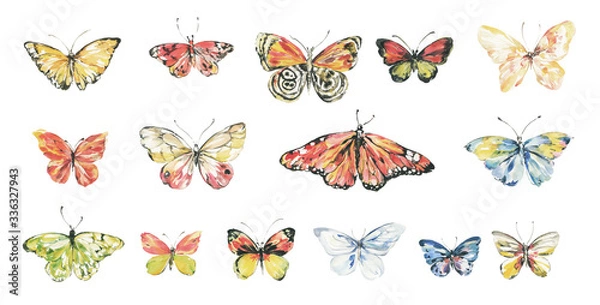Obraz Butterfly watercolor illustration.Manual composition.Big Set watercolor elements.
