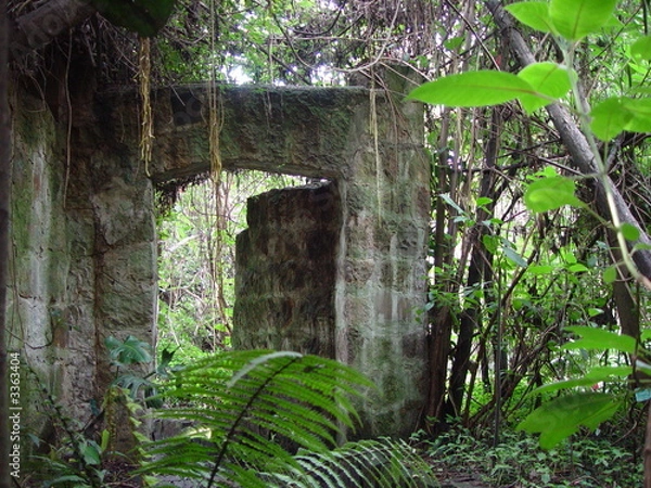 Fototapeta alte mauer