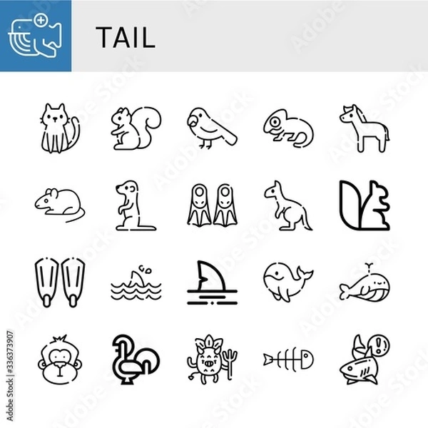 Fototapeta Set of tail icons