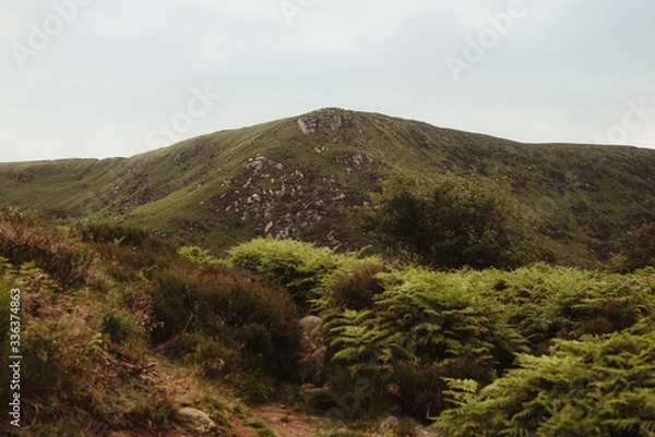 Obraz Wicklow Irlandia