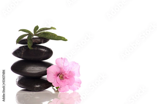 Obraz Feuille de passiflore sur galets empilés