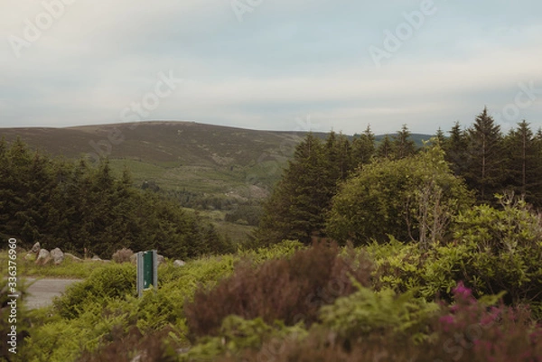 Obraz Irlandia. Wicklow