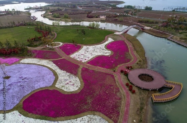 Obraz Zhiyinghua sea like colorful carpet, Baima Lake Tourist Resort, Huai'an City, Jiangsu Province, China