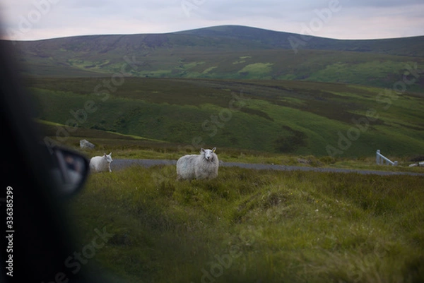 Obraz Wicklow Irlandia