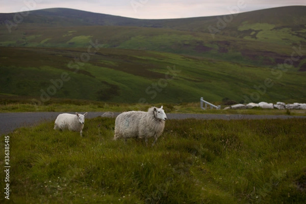 Obraz Wicklow. Irlandia