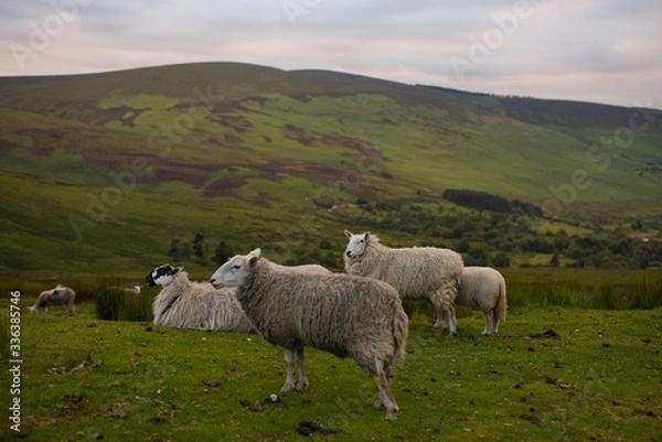 Obraz Wicklow. Irlandia