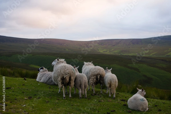 Obraz Wicklow Irlandia