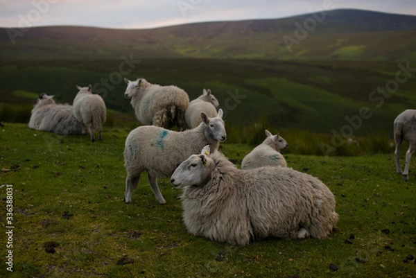 Obraz Wicklow Irlandia