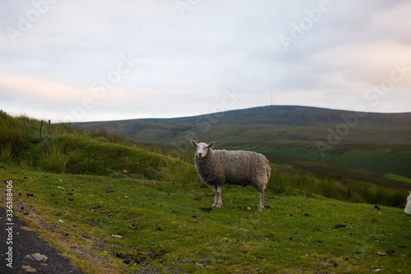 Obraz Wicklow Irlandia