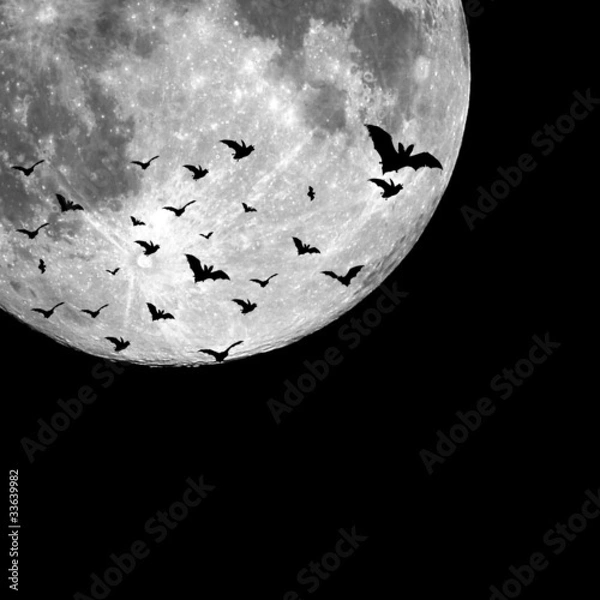 Obraz Halloween background