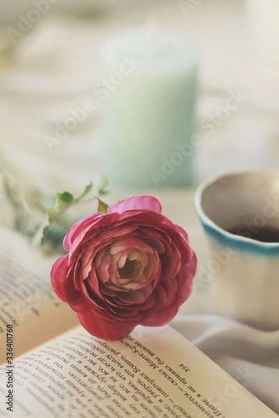 Obraz Processed with VSCO with t1 preset