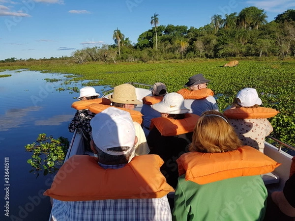 Obraz ESTEROS DEL IBERA