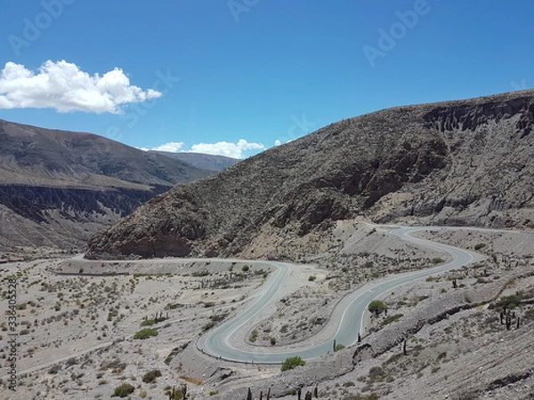 Obraz CAMINO SINUOSO