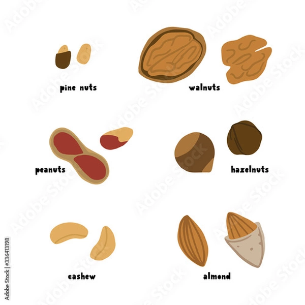 Fototapeta Cartoon nuts set Vector illustration