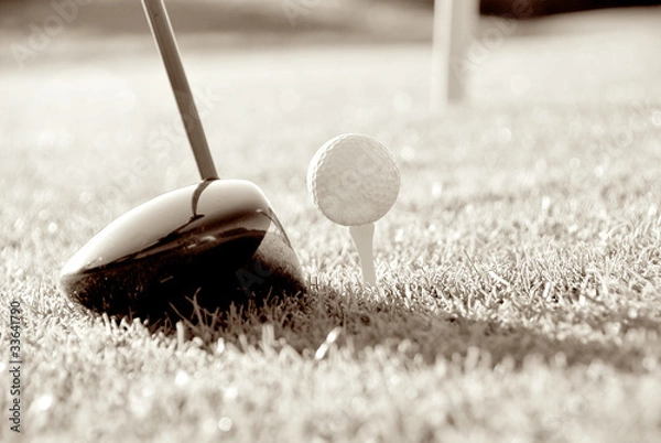 Obraz kierowca golfa