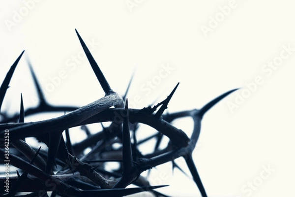 Obraz Crown of thorns with white background