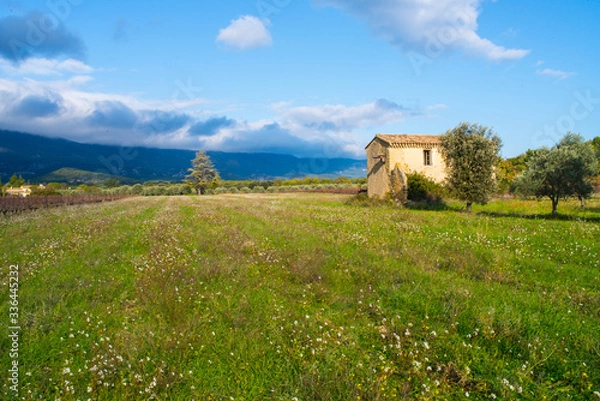 Fototapeta paysages du Luberon