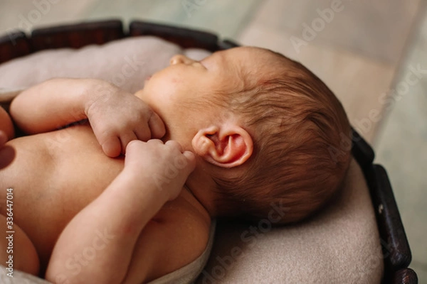Fototapeta 
Newborn baby boy, in the photo the baby is 7 days old from birth, wrapped in a wrapping, sleeps sweetly in a basket