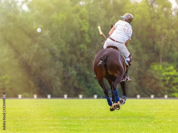 Fototapeta Horse polo player strikes the ball with a mallet. The horse jumps over the field. Forest and cloud sky. Overcast, copyspace