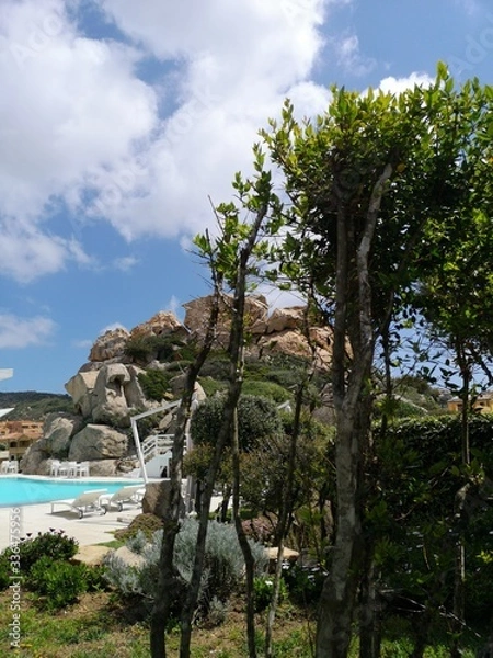 Obraz tree on the beach