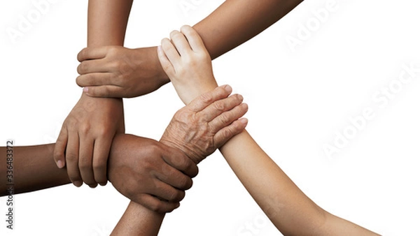 Obraz Human join hands together isolated on white background, collaboration of business and education teamwork concept