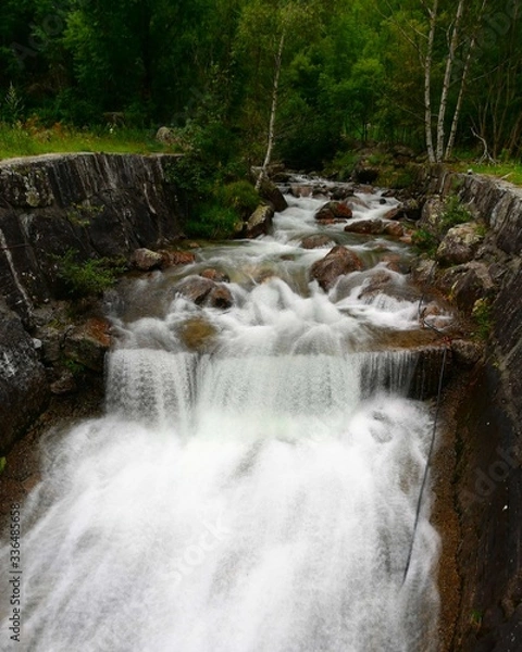 Obraz waterfall in the forest
