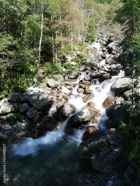 Obraz river in the forest