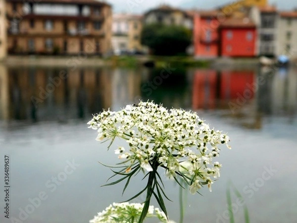 Obraz spring in the city